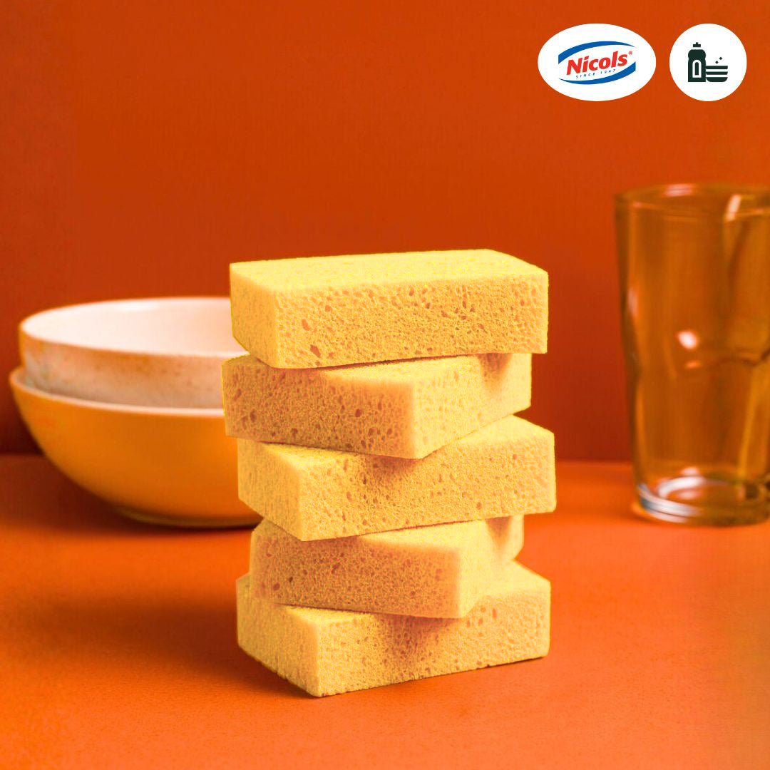 Éponge végétales éco