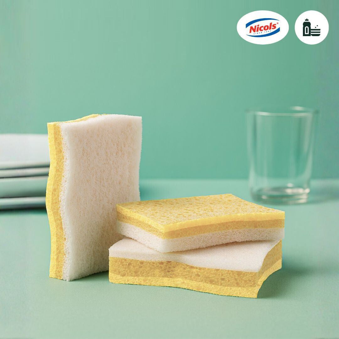 Éponges végétales - Moyen modèles