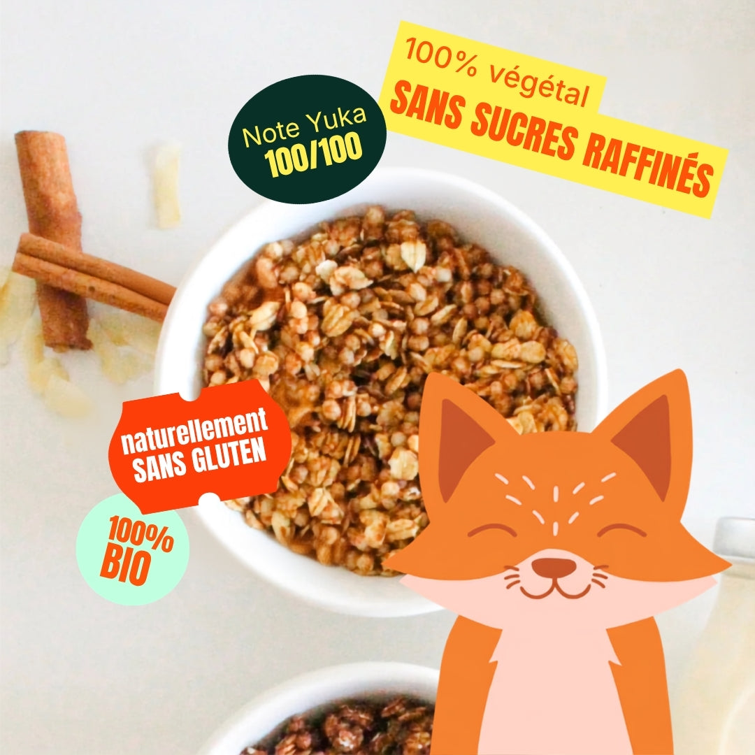 Mon petit granola - Tarte aux pommes - Bio